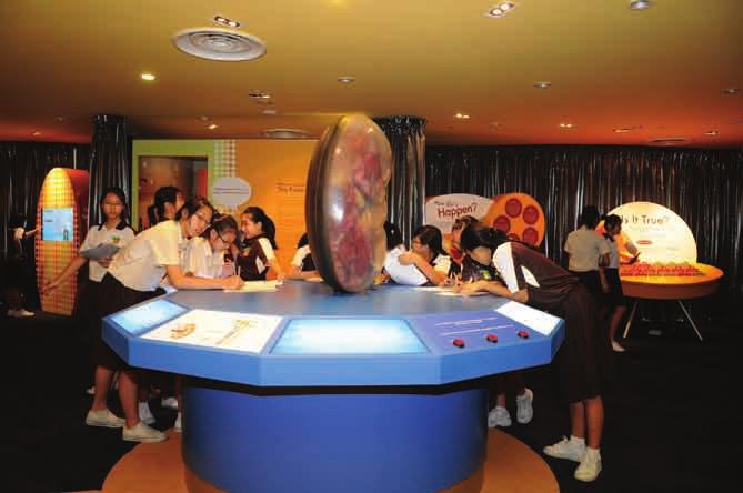 It has 4 main sections with interactive displays Human Body & Function of Kidneys; Kidney Failure & Prevention of Kidney Diseases; Future Development of Treatment of Kidney Diseases; and History of