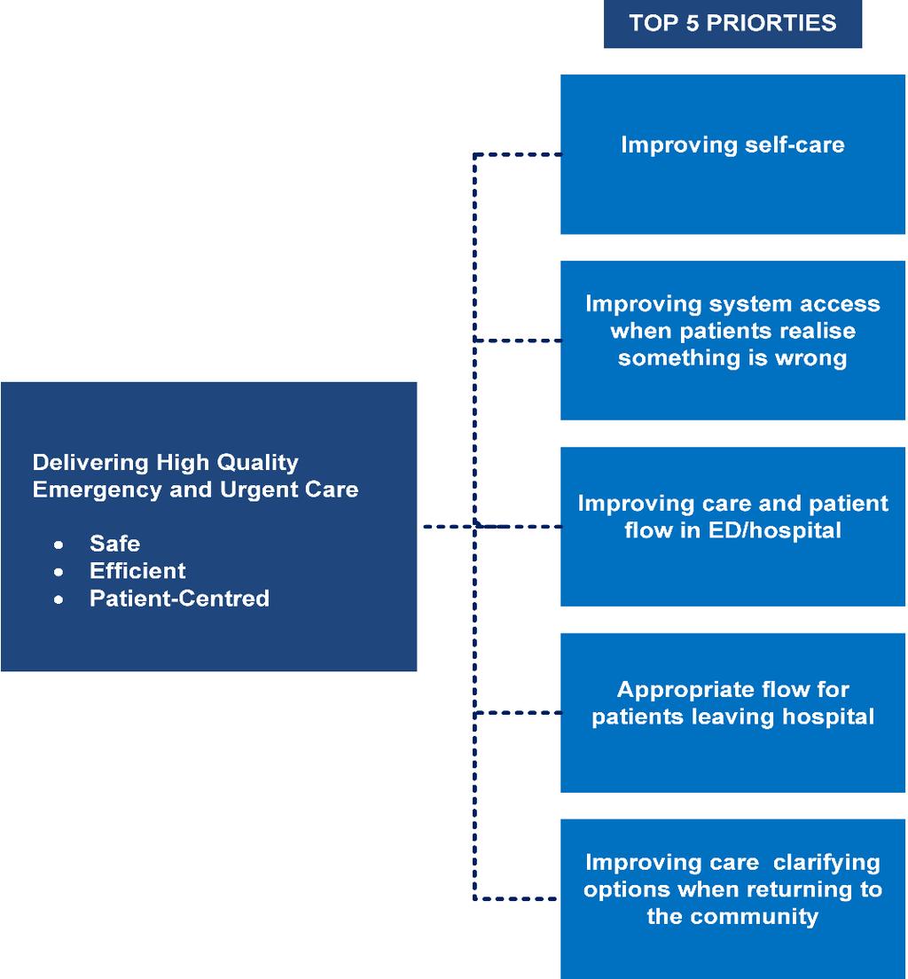 Appropriate flow on discharge and improving care options in the community. Improving care/clarifying options when returning to the community Figure 8: Top 5 Priorities 2.