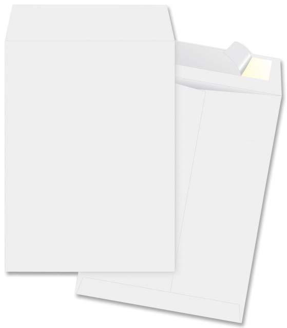 Envelopes, 100/Box BSN 36660