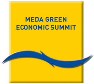 6 Meda Green Economic Summit