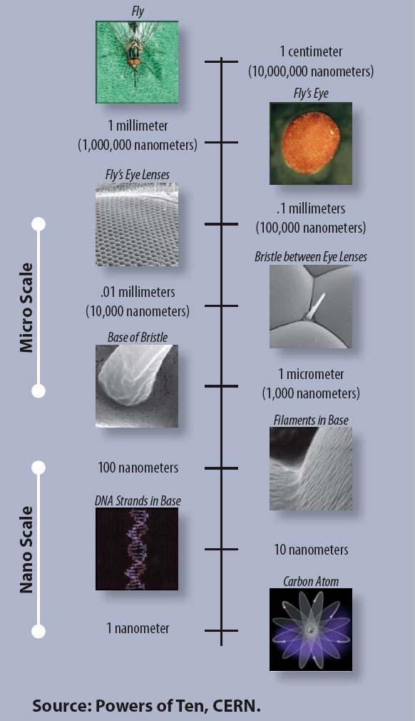 Nanotechnology Nanotechnology has three necessary components: 1. Intentional manipulation 2. Length scale of 1 100 nanometers 3.