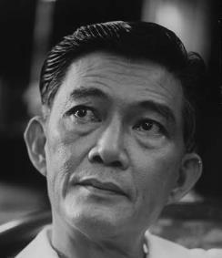 Ngo Dinh Nhu A brother of Ngo Dinh Diem who effectively became a warlord after Diem appointed him head of the Can Lao, the South Vietnamese secret police.