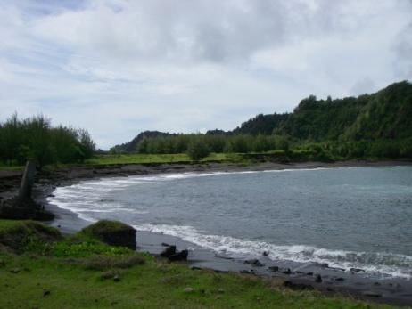 Red Beach would support landing by all amphibious craft to include LCACs, but egress off the beach is currently limited by the heavy vegetation behind the beach.