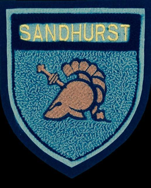 Sandhurst 2018 Awards Gold Standard Patches: Top 10% of the teams Silver Standard Patches: 10-20% of the teams Bronze Standard Patches: 20-30% of the teams Sandhurst Trophy: Best combined Regimental