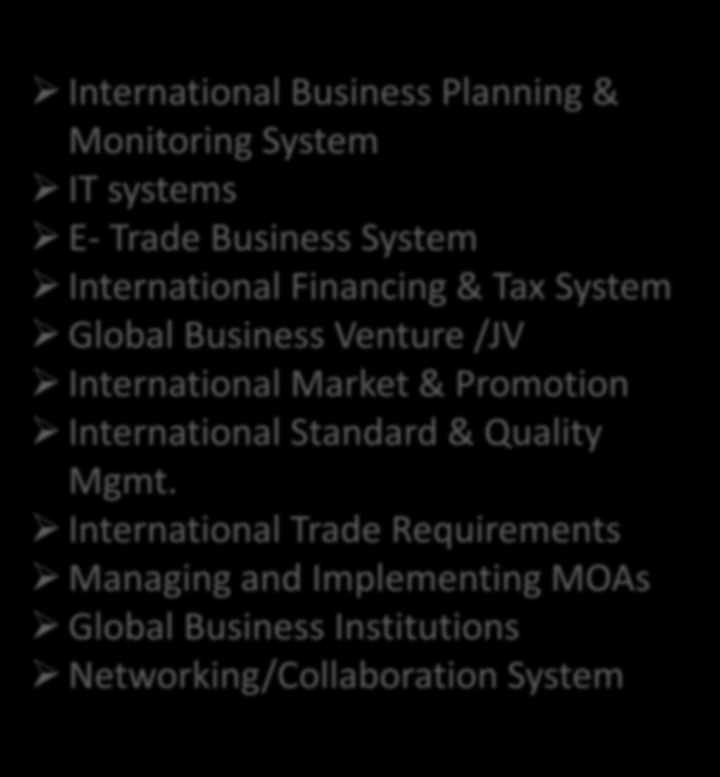 5. IT SUPPORT AND BUSINESS INTERNATIONALISATION International Business Planning & Monitoring System