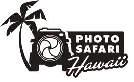 ONE FREE PHOTO SAFARI HAWAII MICROFIBER LENS CLOTH KEY CHAIN AT PHOTO SAFARI HAWAII $ 8.