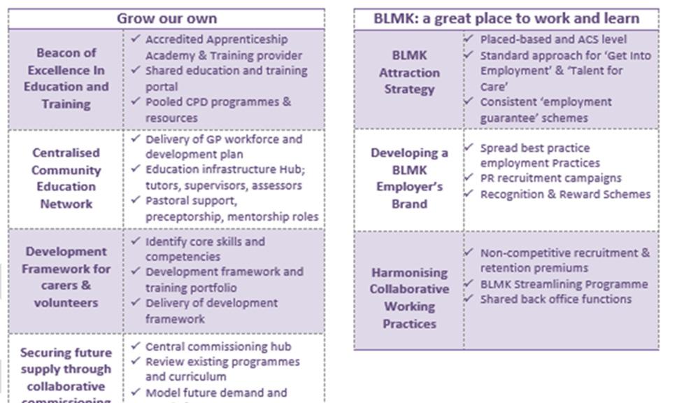 What we have achieved so far Established our BLMK LWAB with representation from our 16 organisations, Health Education England, union representatives, education institutes and Skills for Care