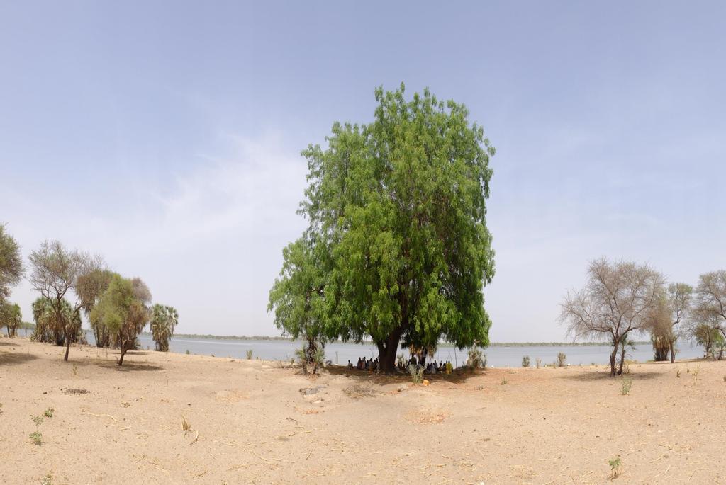 BIOPALT Project BIOSPHERE AND HERITAGE OF LAKE CHAD