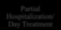 Assessment / Case Management Detoxification Residential Rehabilitation Partial