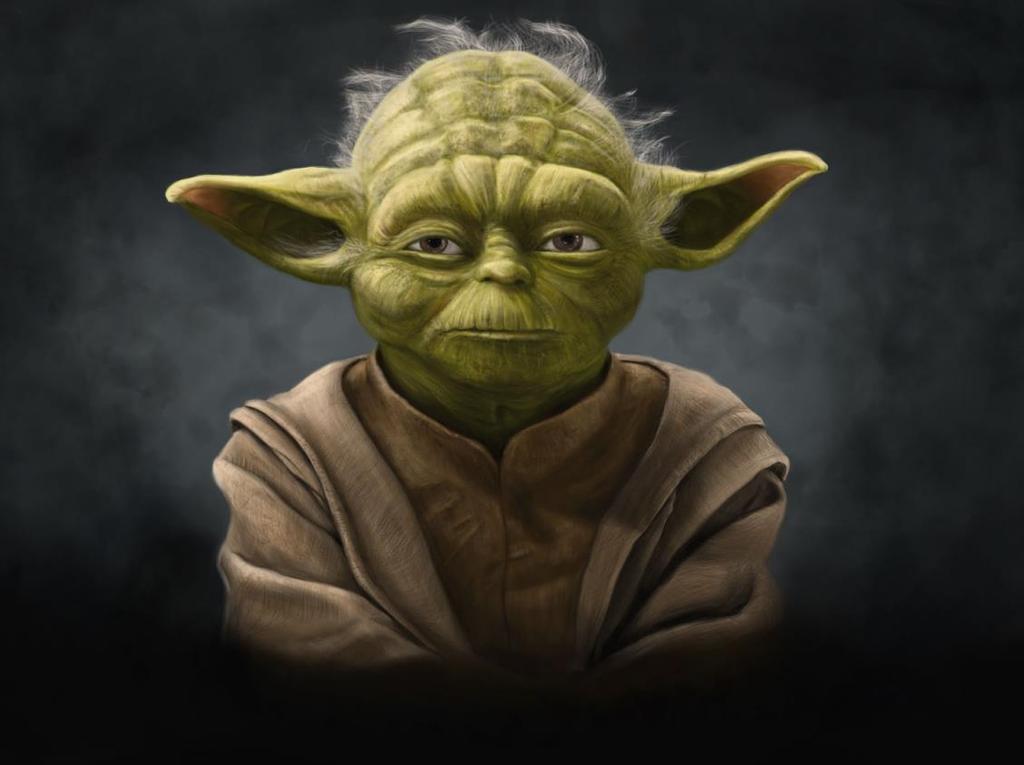 Excellence Leads to Quality Do or Do Not There is No Try The Wisdom of Yoda.