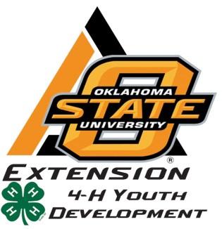 5, youth will participate in Drone Discovery, the 4-H NYSD engineering design challenge, said Jeff Sallee, Oklahoma 4-H science and technology state specialist with the Oklahoma State University
