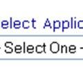 General Information/Your Program/Additional Information: Enables the applicant to navigate between application pages.