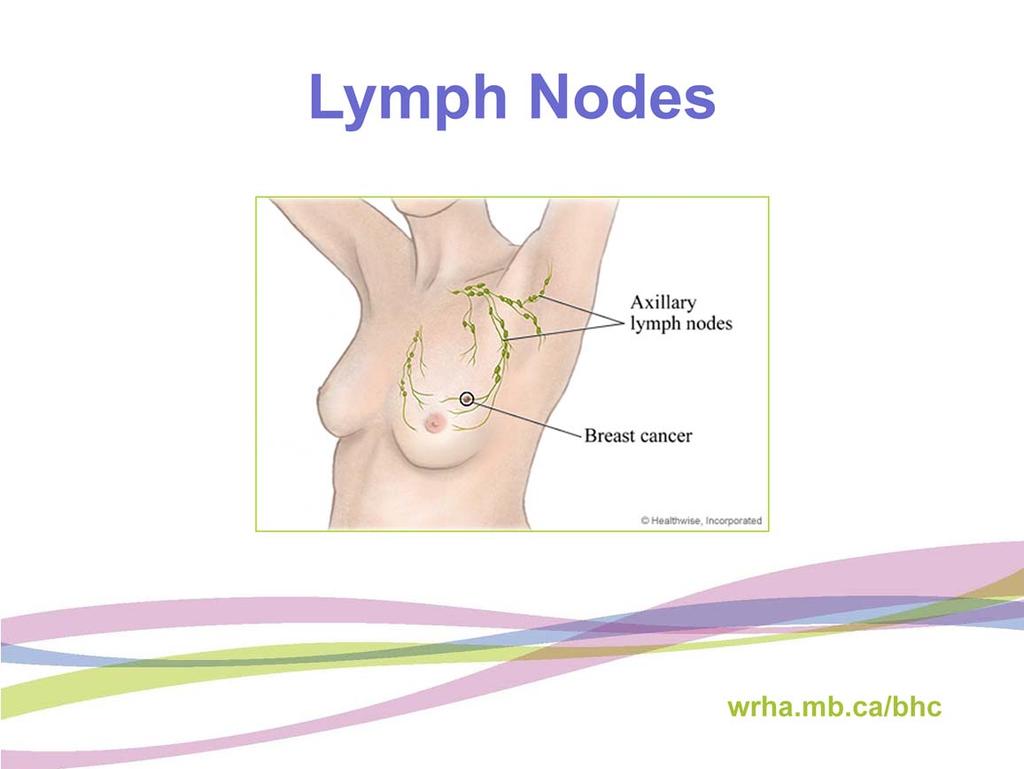 Lymph nodes and vessels in the breast are linked with the lymph nodes in the armpit.