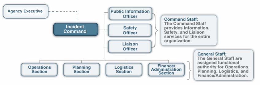 ICS Organization in a