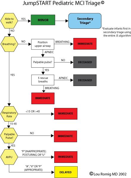 EOP / INCIDENT ANNEX H MASS CASUALTY INCIDENT PLAN 1) The following Flow Charts are examples of