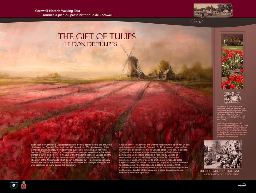 Todd Lihou, Historic Walking Tour The Gift of Tulips