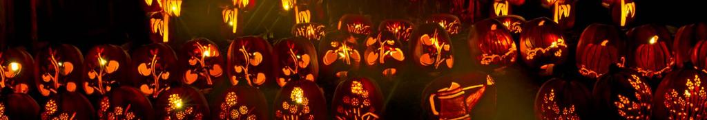 Fall Sponsorship: Pumpkin Inferno 7,000 magical pumpkins create stunning