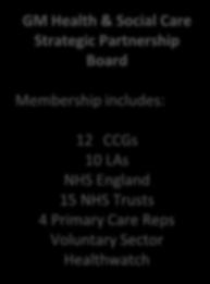 Group Strategic Partnership Board Executive Provider Federation Board Transformation Fund Evaluation Performance and