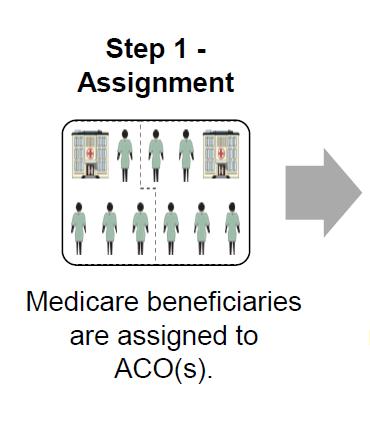 Step 1: Patient Assignment Medicare Shared Savings (Track 1) Patients are attributed to Network through use of Primary Care Physicians Network must meet minimum Threshold of 5,000 patients to