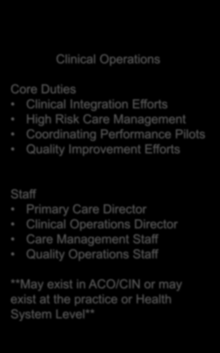 Performance Pilots Quality Improvement Efforts Staff Primary Care Director Clinical Operations Director