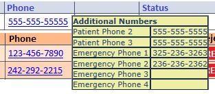 Column Address Phone Requests Status Description Patient s Address. Click hyperlink to open the popup and navigate to Google Maps for this location. Patient s Home Phone.