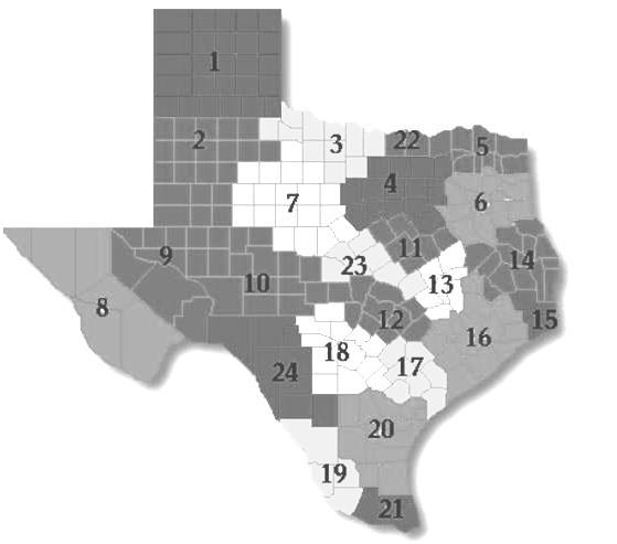 Ten county service area; State of Texas planning