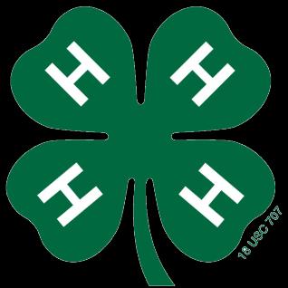 Laurel County 4-H Member Enrollment Form Club Name: Date: School: Teacher: Grade: Club Member Information First Name: Last Name: Birthday: Age: Phone Number: Address: City: State: Zip Code: Email: