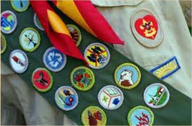 Life To Eagle Merit Badges Of the 21 Merit Badges