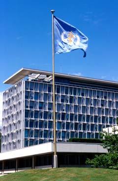 World Health Organization Specialized agency of the United Nations Public health mandate, founded 1948 6000 staff across headquarters (Geneva), regional offices