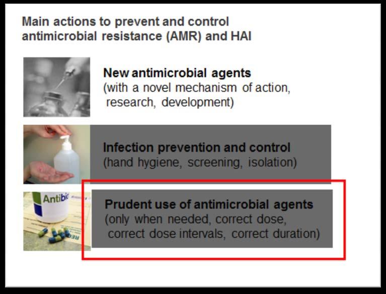 Reference to antimicrobial nurse stewardship.