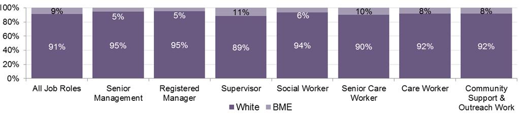 Yorkshire and the Humber Report, NMDS-SC 2013 Page 8 Chart 7: Ethnicity of workers in Yorkshire and the Humber by main job role 3.5.