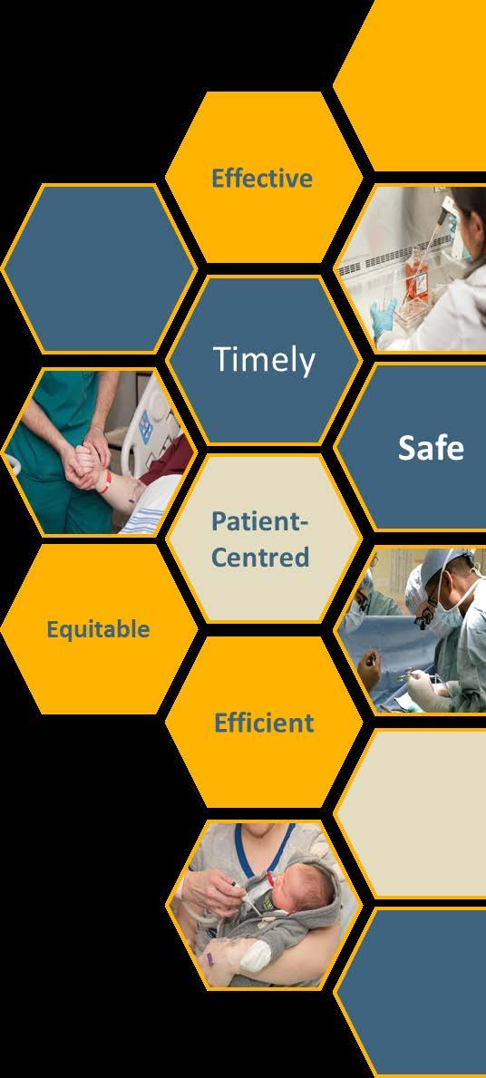 Overview (LHSC) continues to be on a path of embracing health-care transformation and remains committed to providing the safe, high quality, and compassionate care that our patients deserve.