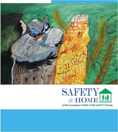 , BMJQS 2012 Growing Evidence of Safety Problems In Other Sectors Chart review of home care clients in MB, QC and