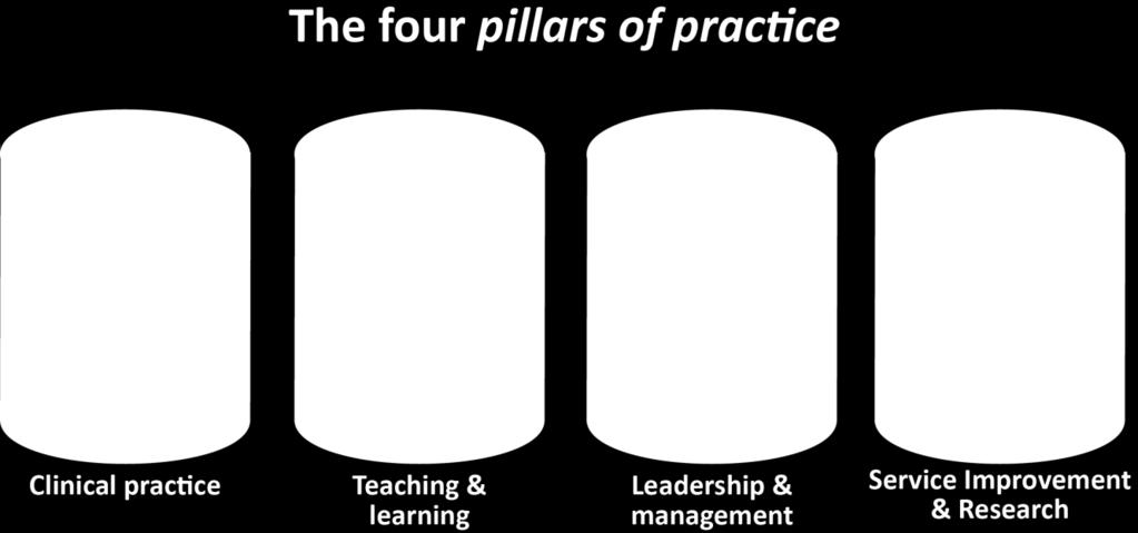 Pillars of Practice What is required for the different levels? Each role on the career framework is divided into the same four pillars of practice: 1. Clinical Practice / Te Mahi Haumanu 2.