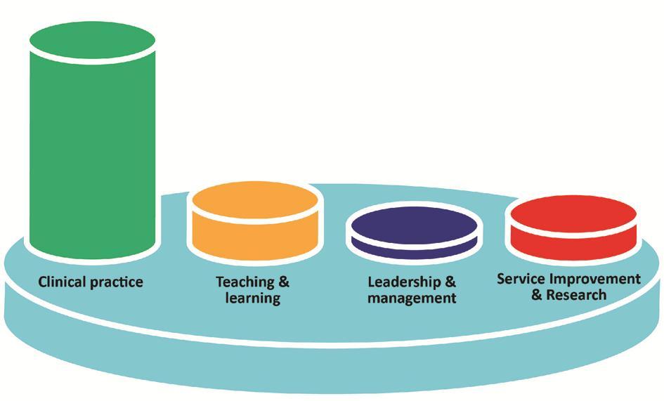 Visual representation only of the weighting of the pillars of practice for the various levels of roles on the framework Expert Deliverables (Expectations of Professional Practice) for each level on
