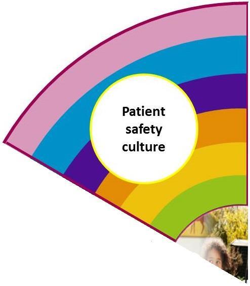 Regional, national, networks Service or organisation Patient safety culture The statements here are the responsibilities or needs for each group.