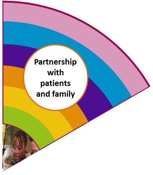 Partnership with patients and family The statements here are the responsibilities or needs for each group. They may be used to assess and plan improvements for each component in the system.