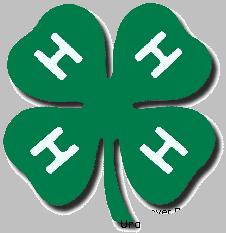 T here are many things a 4-H parent will want to know about 4-H.