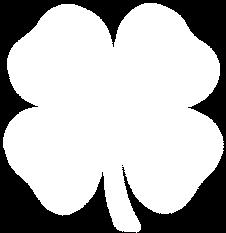 What is 4-H? a) 4-H is the largest non-formal youth-serving organization in the country.