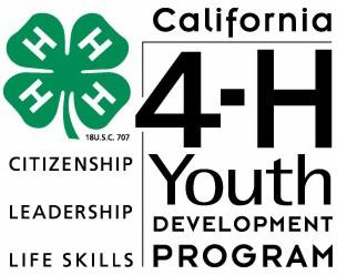Safety at 4-H Projects 4-H leaders serve an important role in assisting with the development of today s youth.
