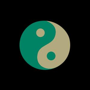 EMERGENCY MEDICINE PHYSICIANS AND HOSPITALISTS YIN AND YANG.