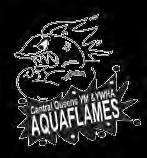 AQUAFLAMES COMPETITIVE SWIM TEAM Sanctioned by USA Swimming Open to boys & girls: Ages 6-18 TRYOUTS Mon.- Thurs., 4:00-7:00 p.m. ( All swim team info is provided on Tryout Day) The Team is headed by Marina Rothman, one of the best coaches in NYC today.