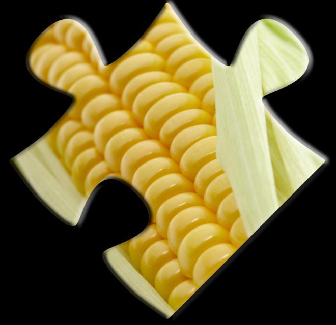 Corn & Cereal Requirements 18 Whole corn Whole grain corn Whole ground corn Whole corn flour Enriched corn flour