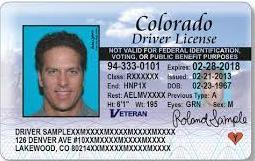 32) Driver s License You should take driving lessons if you do not already have a driver s license in