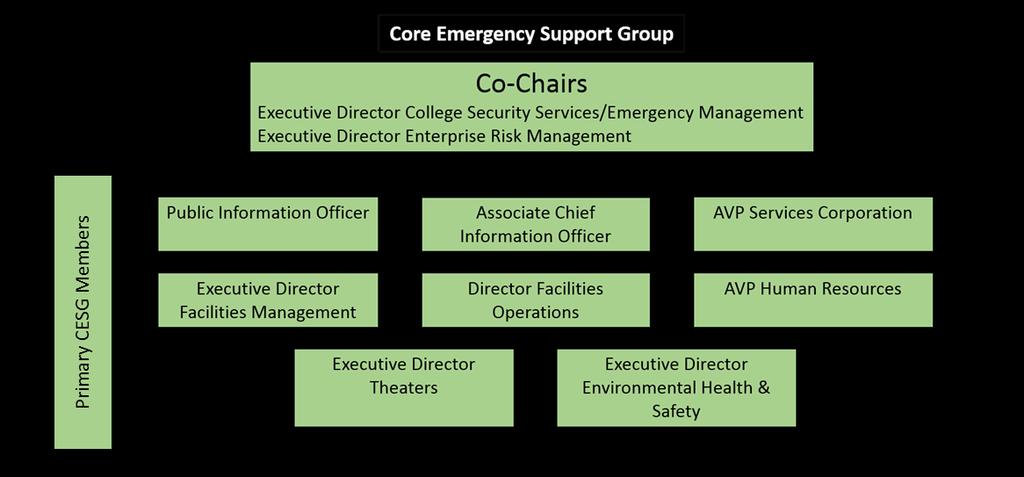 Core Emergency Support Group The function of the Core Emergency Support Group (CESG) is to provide operational support to the Crisis Management Group.
