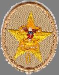 Star Rank With the Star rank, emphasis is placed upon service to others, merit badges, and leadership.