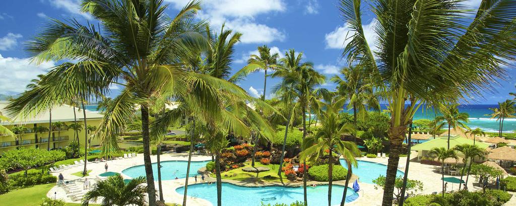 Registration Fee $395 Hotel Information Kauai Beach Resort 4331 Kauai Beach Dr. Lihue, HI 96766 888-805-3843 www.kauaibeachresorthawaii.