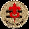 Librarian - keeps troop books, pamphlets, magazines, audiovisuals, and merit badge counselor list available for use by