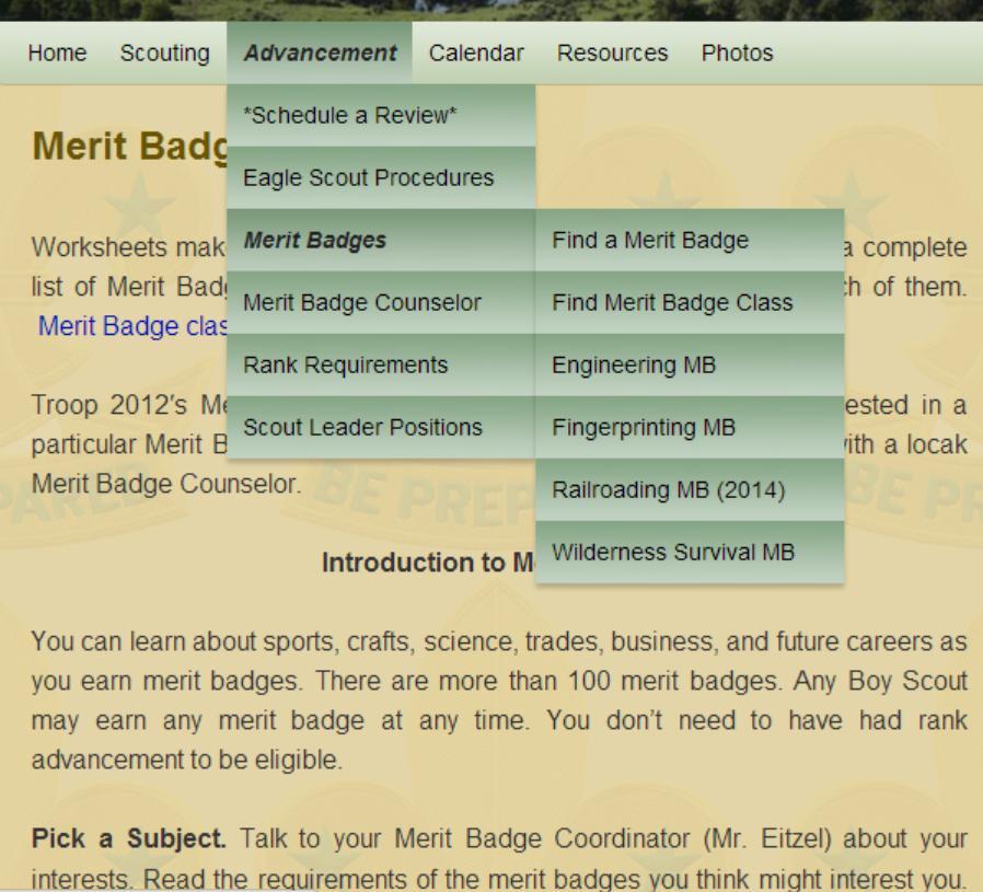 MERIT BADGES BSA has 135 Merit Badges Earn MBs any time after earning the Scout rank.