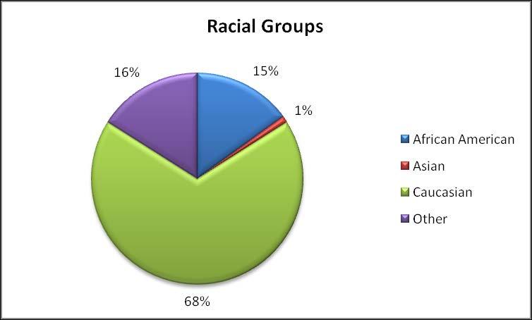Sixty-eight percent of these Members were Caucasian, sixteen percent were categorized as Other, fifteen percent were African American and one percent were Asian.
